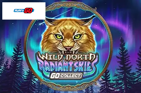 Wild North Radiant Skies